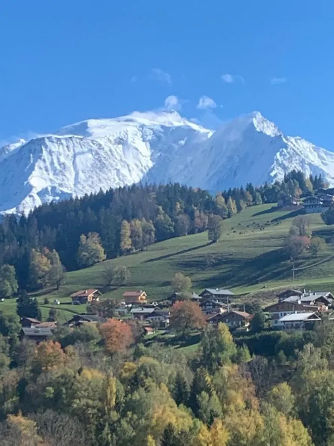 Chalet Mont Blanc Combloux 0*,